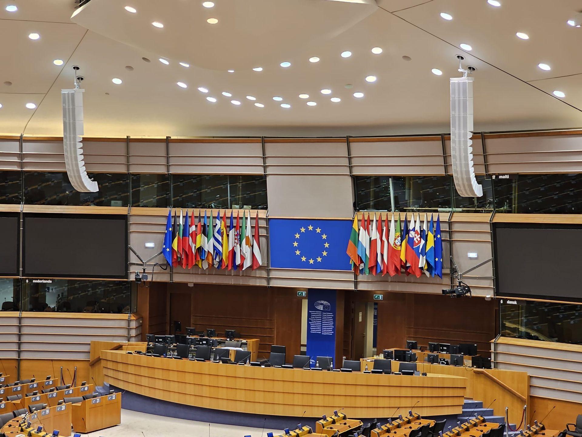 Rapire internationala de copii